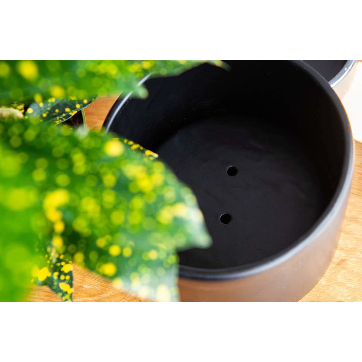 Galaxy Sonder Planter