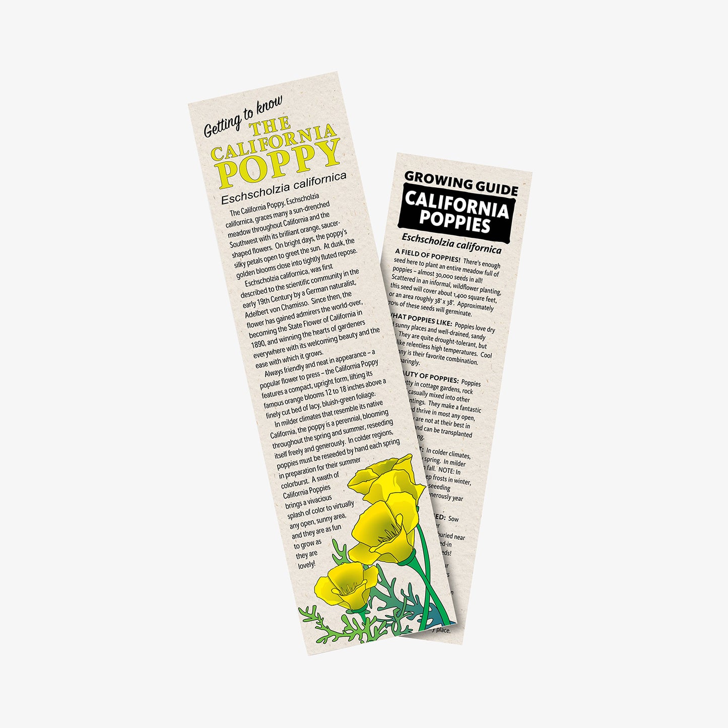 California Poppy Kit