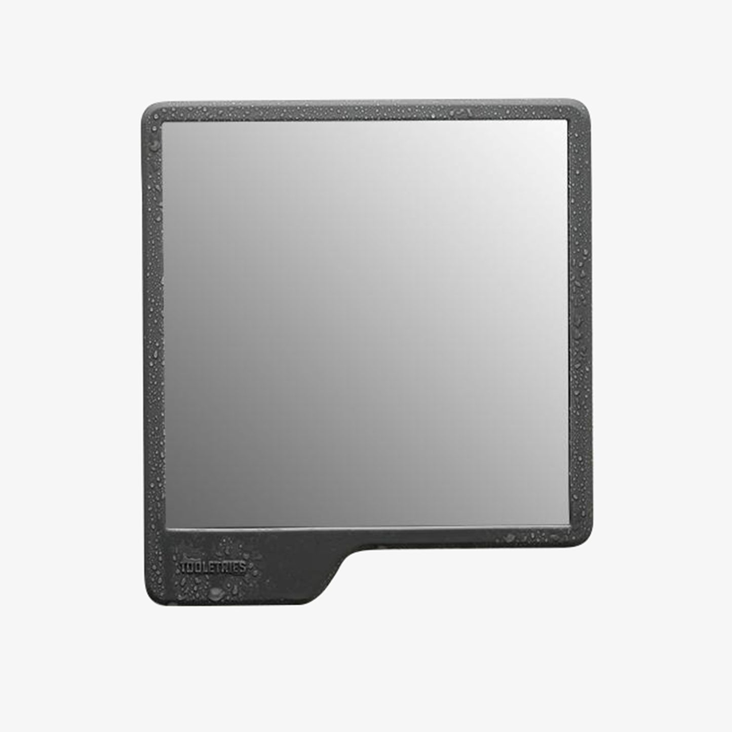 Shower Mirror
