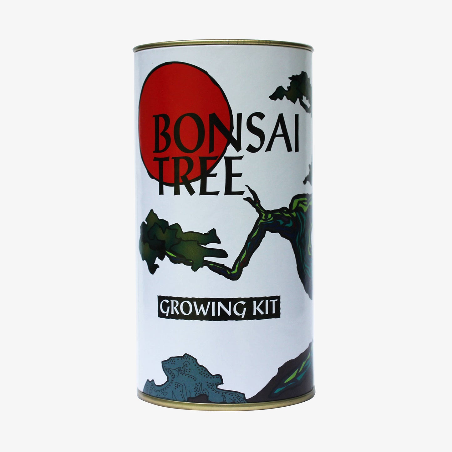 Rocky Mountain Juniper Bonsai Kit