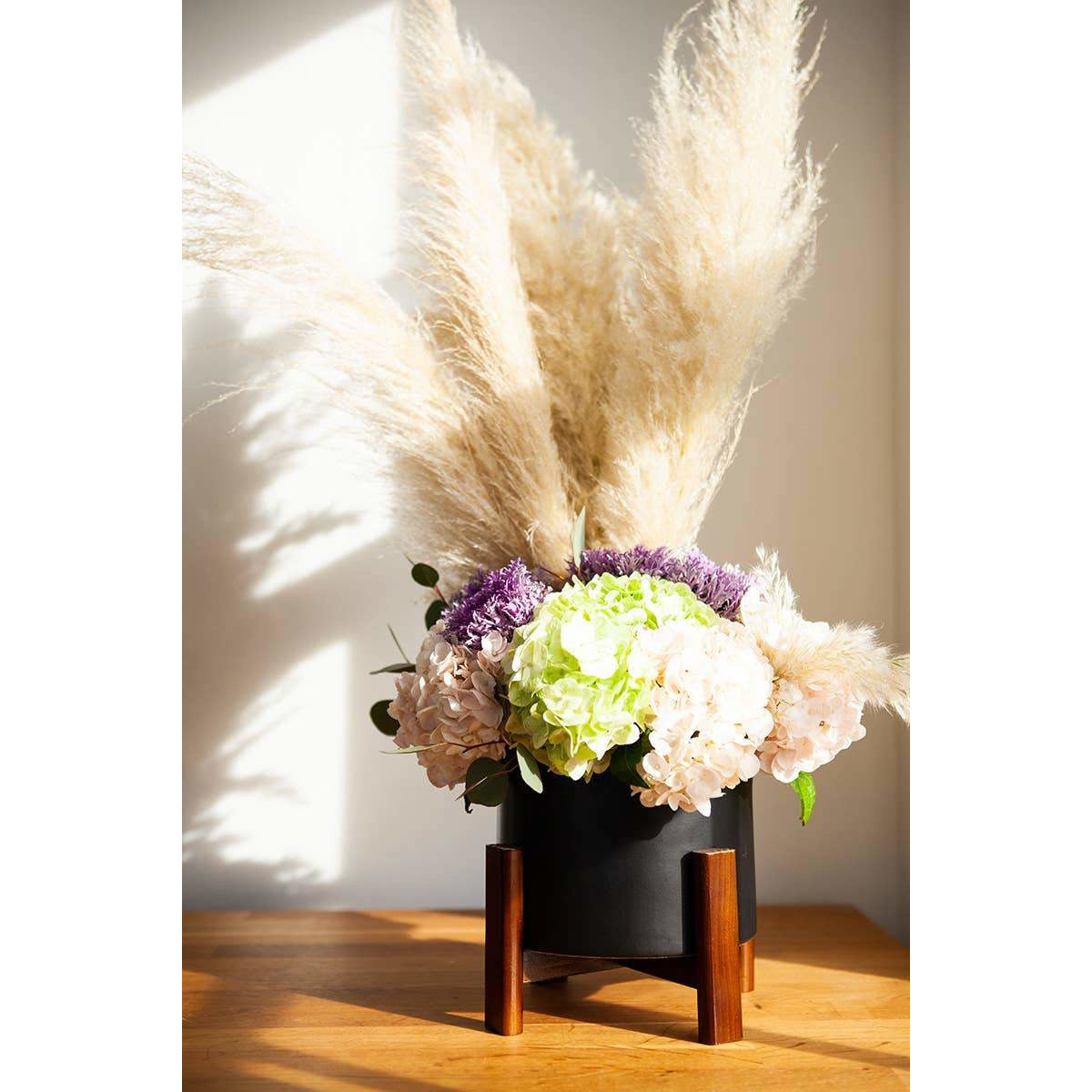 Galaxy Sonder Planter