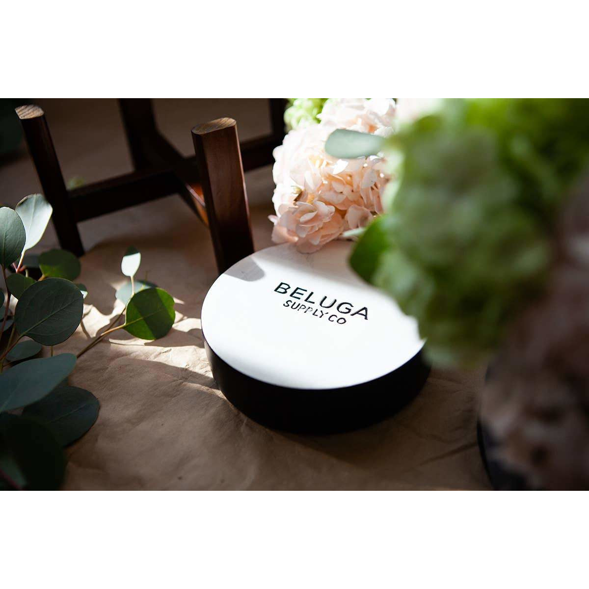 Galaxy Sonder Planter