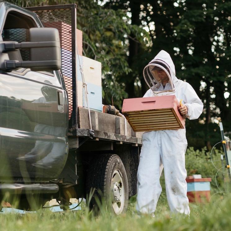 Vermont Raw Honey